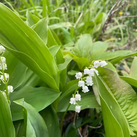 Hébergement de vacances La Maison De Fram